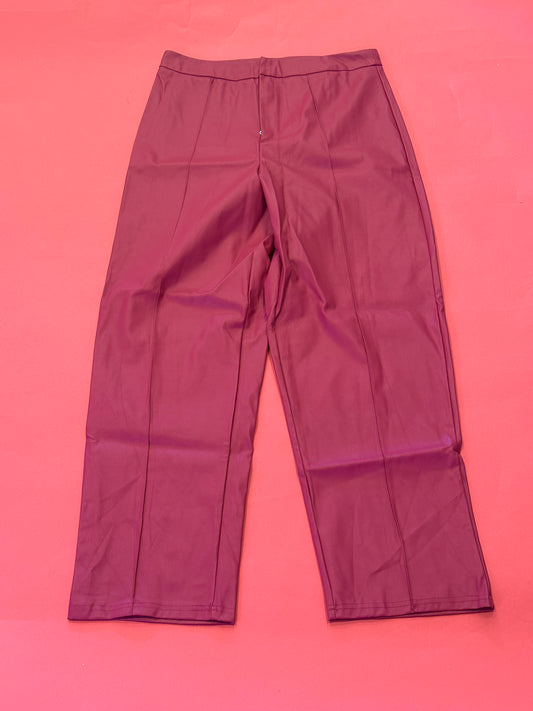 PURPLE PLEATHER PANTS 1XL