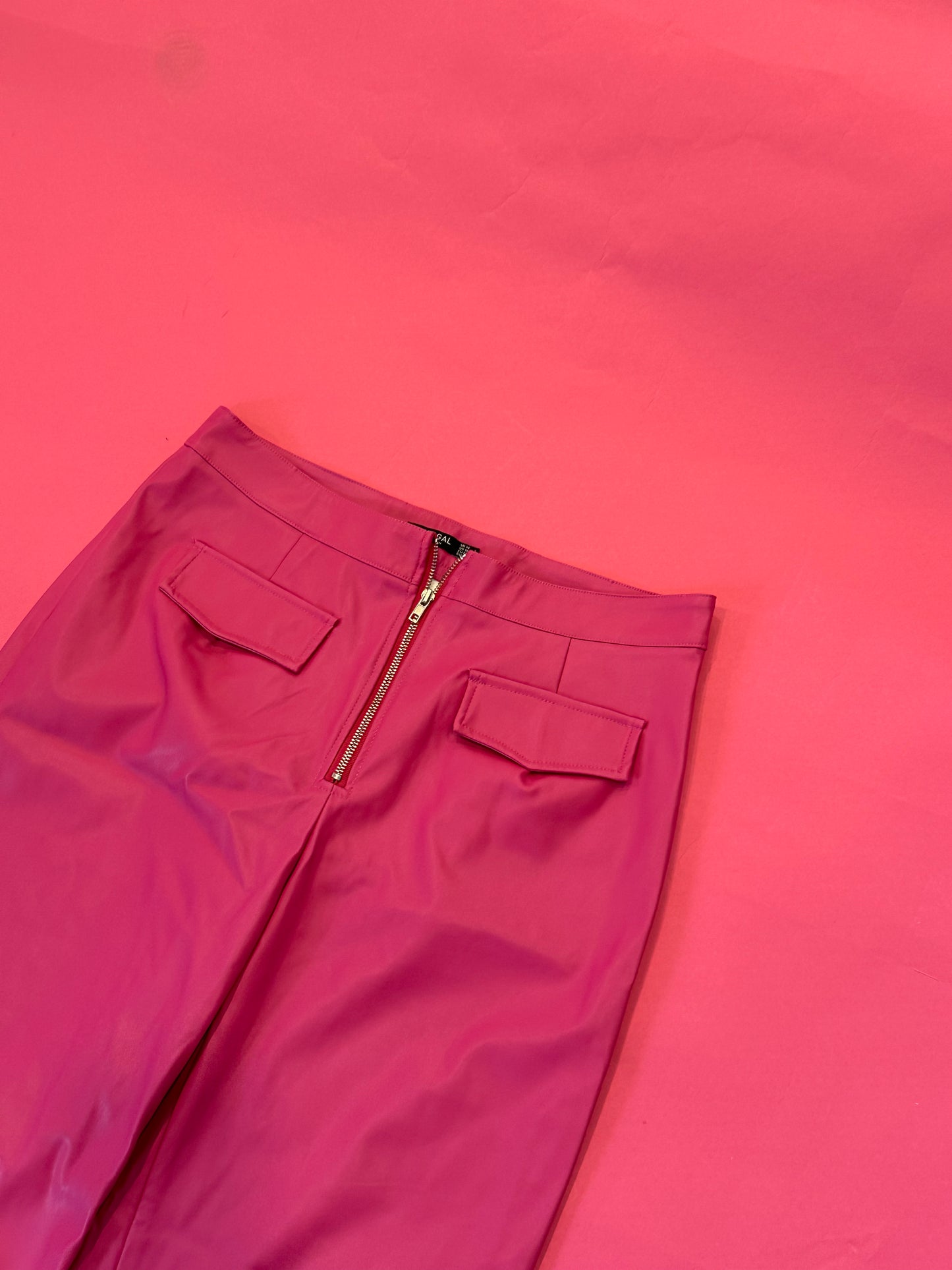 NASTY GAL pink pleather pants US10