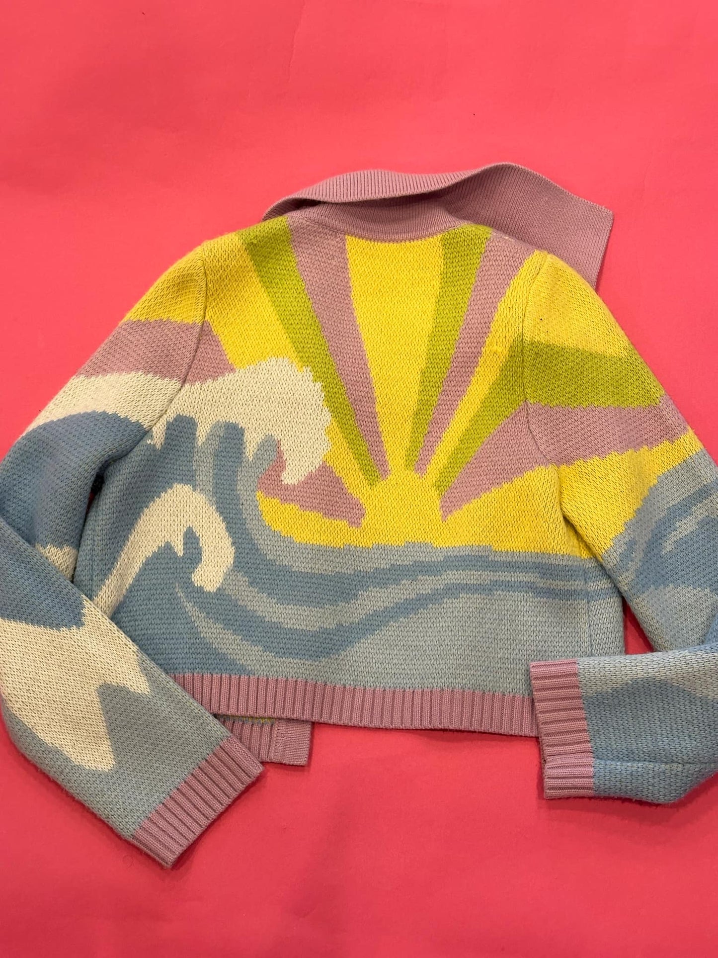 HOUSE OF SUNNY sweater size US 10